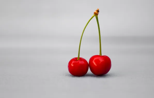 Picture cherry, background, minimalism