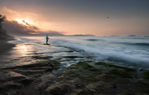 Sea, wave, fog, stones, bird, shore, fishing, fisherman