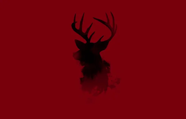 Picture animal, minimalism, deer, horns