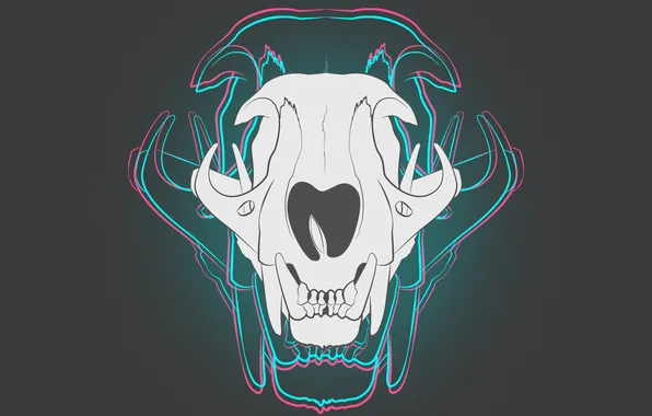 Picture background, skull, neon