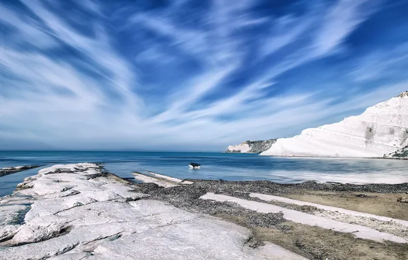 Winter, the sky, landscape