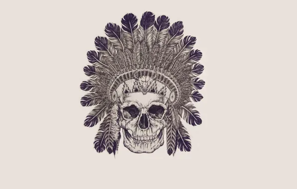 Skull, feathers, skeleton, sake, Indian, indian