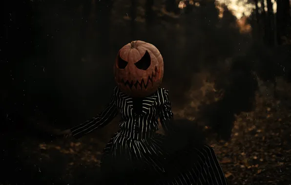 Autumn, forest, girl, nature, pose, darkness, the dark background, fear