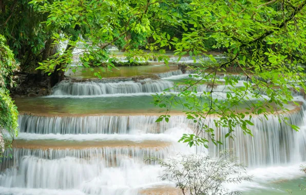 Water, Nature, Stream, Waterfall, Trees, Forest