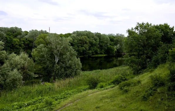 Picture grass, trees, river, trail, Ukraine, Sloboda, Seversky Donets