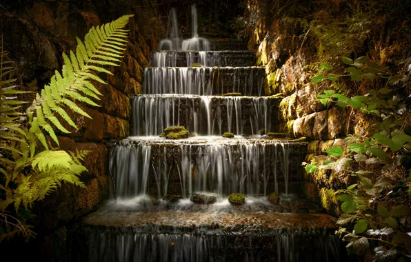 Waterfall, ladder, fern, cascade