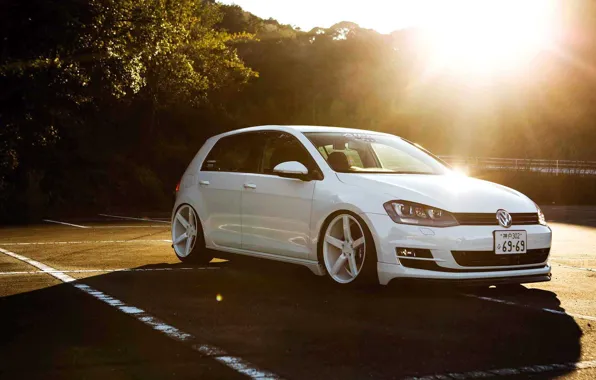 Polo vossen discount