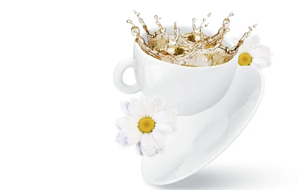 Picture flowers, squirt, tea, Cup, chrysanthemum