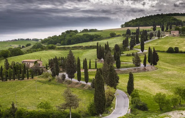 Road, the sky, clouds, trees, clouds, house, hills, field