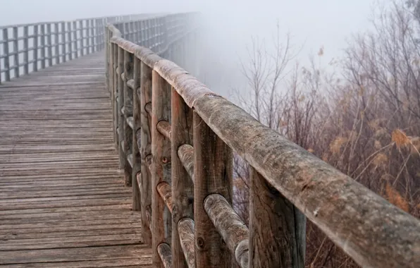 Picture macro, bridge, fog, railings