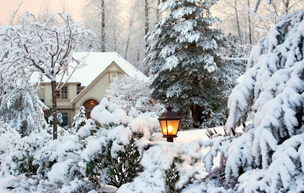 Picture winter, the sky, snow, trees, landscape, nature, house, Park
