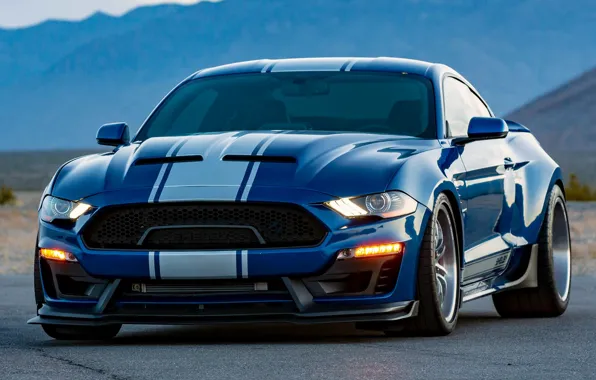 Picture Shelby, 2018, Widebody, Super Snake, 2018 Shelby Super Snake Widebody