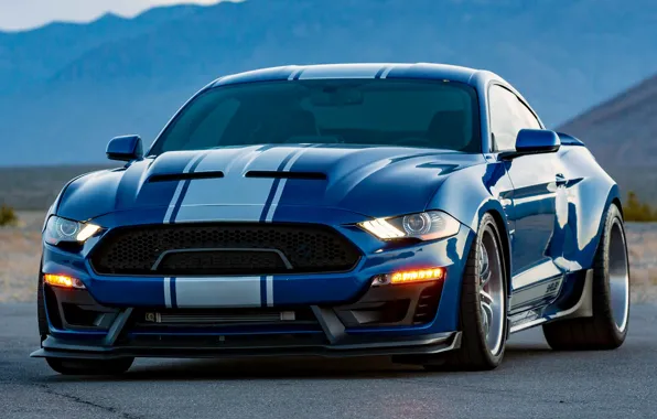 Shelby, 2018, Widebody, Super Snake, 2018 Shelby Super Snake Widebody