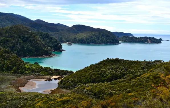 Picture sea, coast, Australia, Tasman National Park
