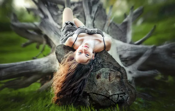 Picture LOOK, TREE, GRASS, HAIR, TRUNK, LOG, BROWN hair