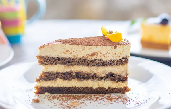 Picture food, cake, dessert, chocolate, biscuit, creme brulee
