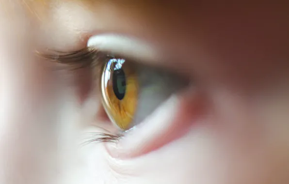 Woman, eye, eyelids