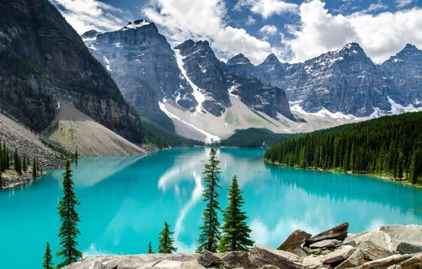 Picture trees, mountains, lake, Banff National Park, Moraine Lake