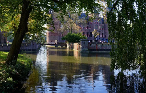 The sun, trees, branches, pond, Park, castle, foliage, Netherlands