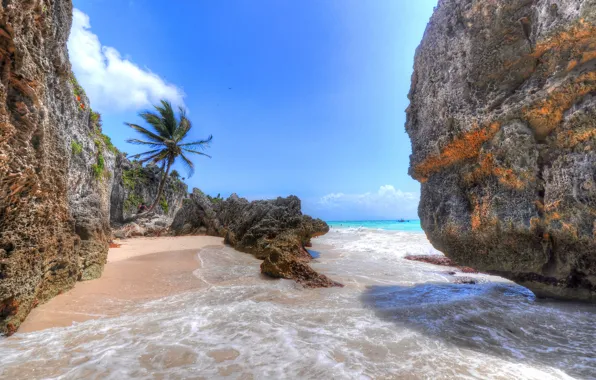 Sand, sea, Palma, stones, rocks, Mexico, Cancun