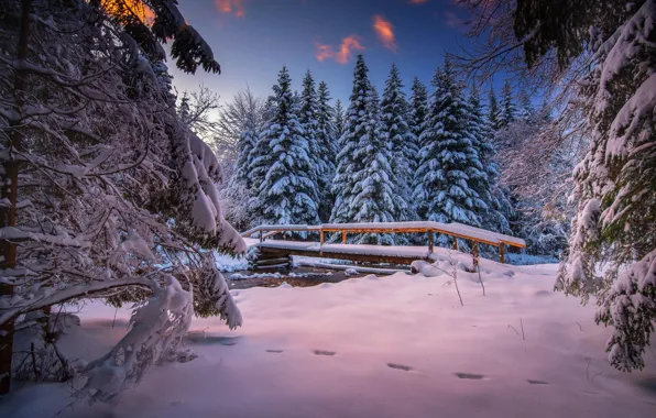 Winter, snow, trees, landscape, nature, ate, the bridge, river