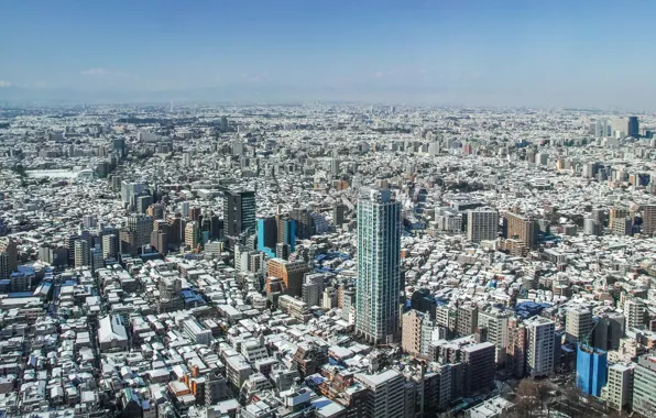 The city, Tokyo, panorama
