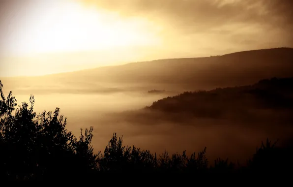 Picture forest, mountains, nature, fog, morning