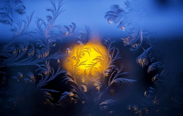 Picture cold, winter, glass, holiday, pattern, new year, frost, than not painting