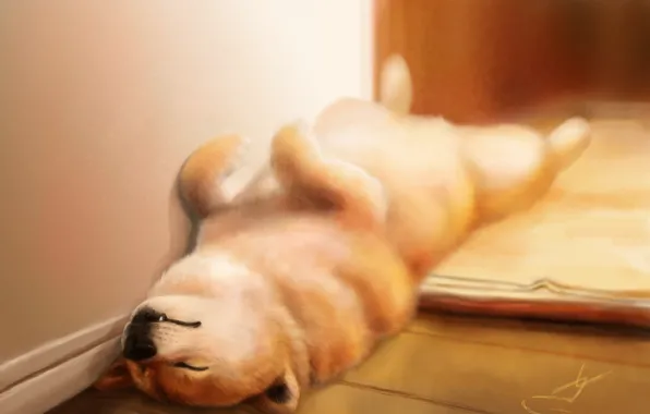 Picture house, sleep, dog, art, sleeping, puppy, on the floor