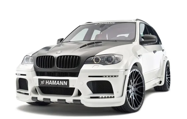 Picture BMW, Hamann, Evo, X5-M