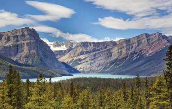Forest, the sky, clouds, trees, mountains, lake