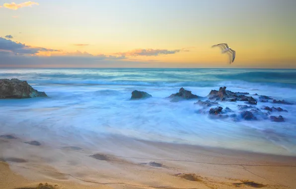 Sea, the sky, clouds, stones, bird, seagulls
