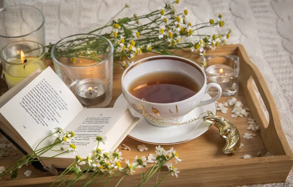 Flowers, tea, chamomile, candles, mug, Cup, book, glasses