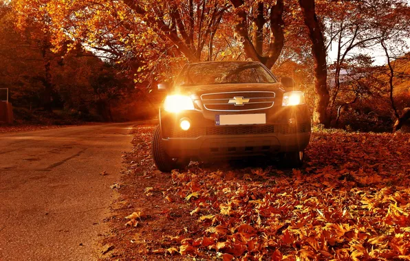 Chevrolet, yellow, Autumn, suv, 4wd, Captiva, awd