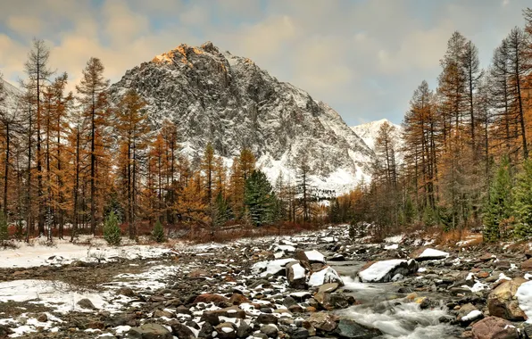 Mountains, rocks, snow, stones, cold