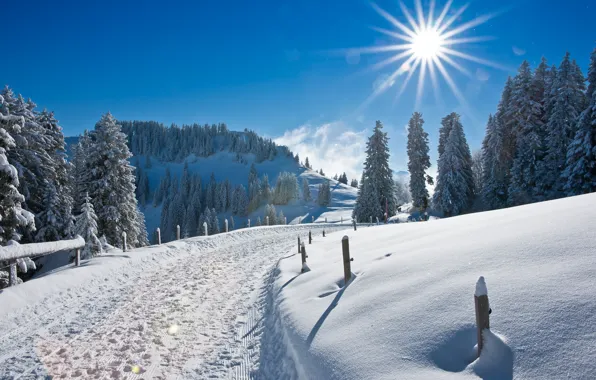 Winter, road, the sun, rays, snow, nature, glare