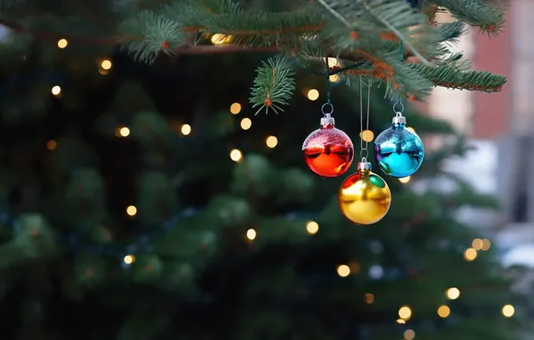 Balls, branches, blue, yellow, red, toy, ball, lights