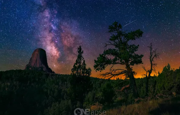 Forest, the sky, stars, night, USA, the milky way, Wyoming, the natural monument Devil's Tower