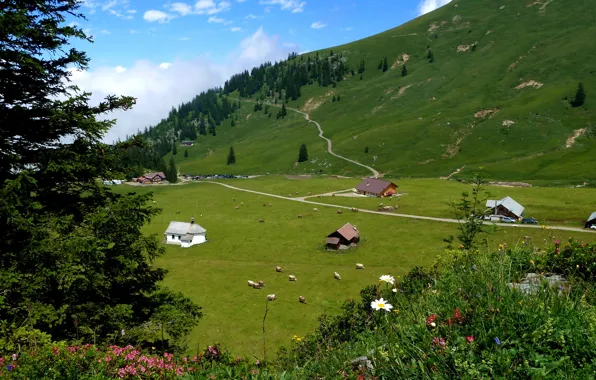 City, town, farm