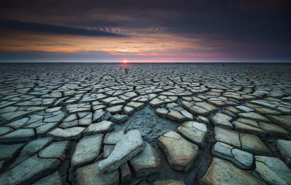 Picture sunset, coast, Netherlands, Holland