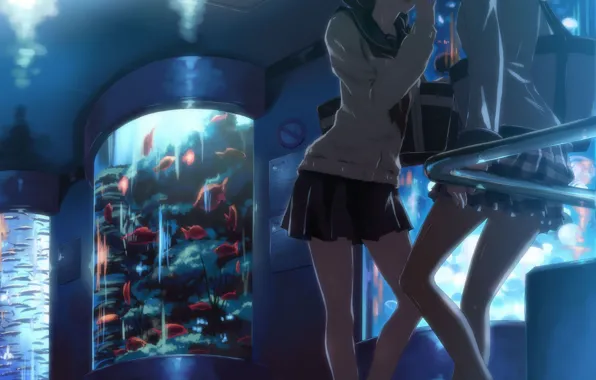 Fish, girls, aquarium, form, legs, Art