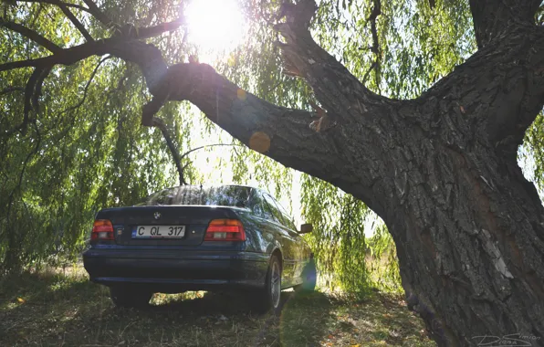 Auto, BMW, e39