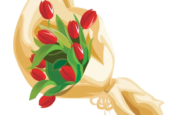 Picture flowers, bouquet, tulips, red, packaging, white background