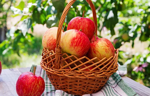 Leaves, table, apples, garden, harvest, red, basket, tablecloth