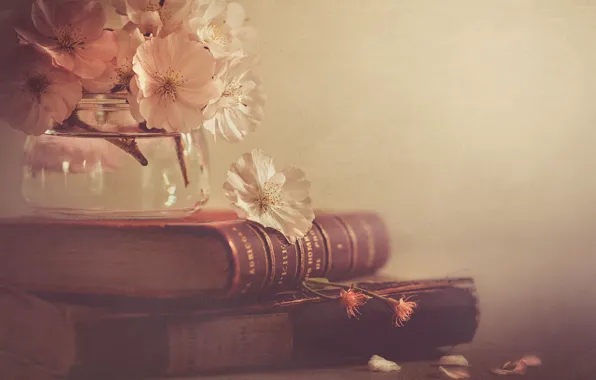 Flowers, style, books, Bank
