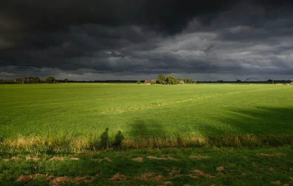 Greens, field, the sky, grass, trees, clouds, overcast, houses