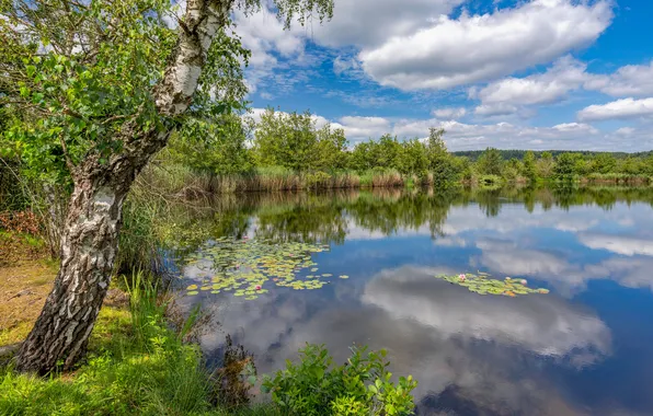 Picture clouds, lake, reflection, Germany, Niederkail