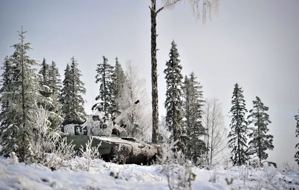 Winter, weapons, army