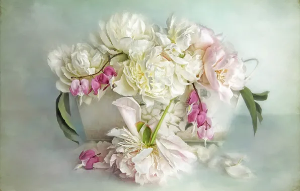 Leaves, flowers, background, bouquet, petals, art, pot, pink