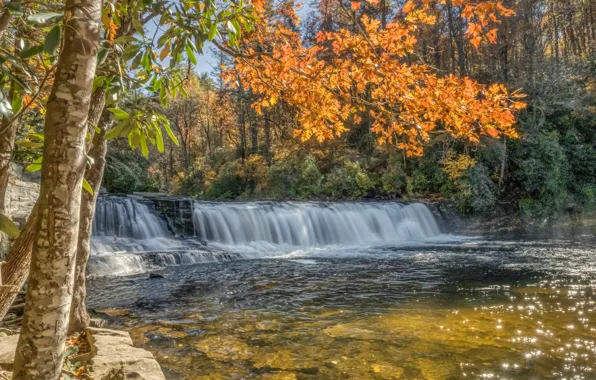 Autumn, forest, trees, branches, river, waterfall, cascade, North Carolina